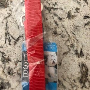 Dog seat belt
